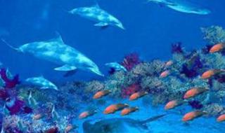 秦皇岛新奥海底世界